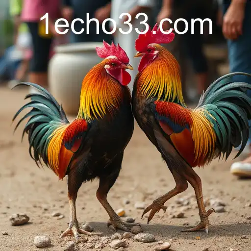 Exploring the Historical and Cultural Echo33 of Cockfighting